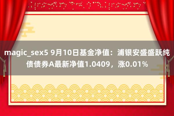 magic_sex5 9月10日基金净值:浦银安盛盛跃纯债债券A最新净值1.0409,涨0.01%