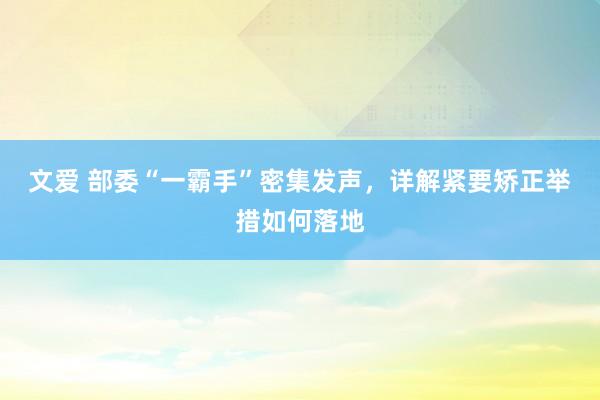 文爱 部委“一霸手”密集发声,详解紧要矫正举措如何落地