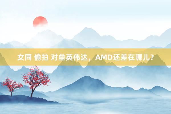 女同 偷拍 对垒英伟达,AMD还差在哪儿?