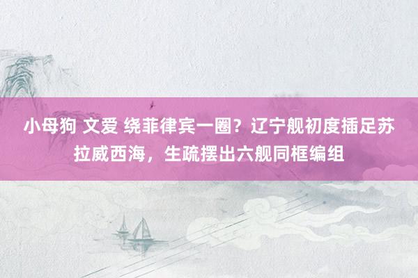 小母狗 文爱 绕菲律宾一圈？辽宁舰初度插足苏拉威西海，生疏摆出六舰同框编组