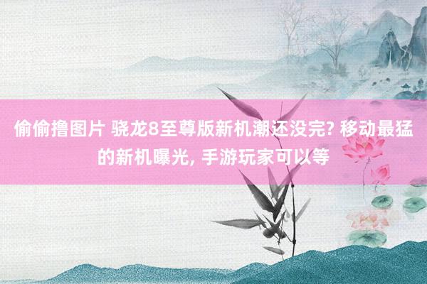 偷偷撸图片 骁龙8至尊版新机潮还没完? 移动最猛的新机曝光, 手游玩家可以等