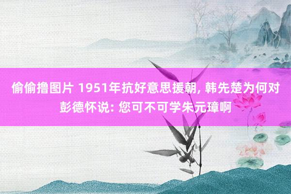 偷偷撸图片 1951年抗好意思援朝, 韩先楚为何对彭德怀说: 您可不可学朱元璋啊