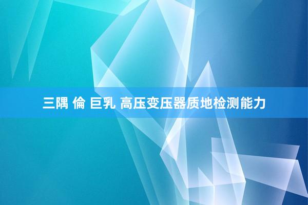 三隅 倫 巨乳 高压变压器质地检测能力