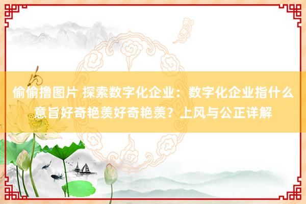 偷偷撸图片 探索数字化企业：数字化企业指什么意旨好奇艳羡好奇艳羡？上风与公正详解