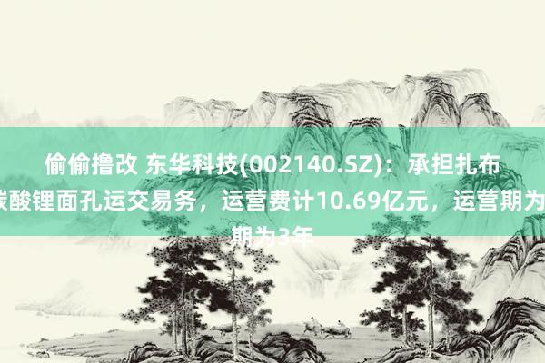 偷偷撸改 东华科技(002140.SZ):承担扎布耶碳酸锂面孔运交易务,运营费计10.69亿元,运营期为3年