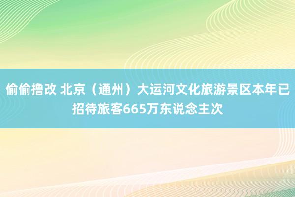 偷偷撸改 北京(通州)大运河文化旅游景区本年已招待旅客665万东说念主次