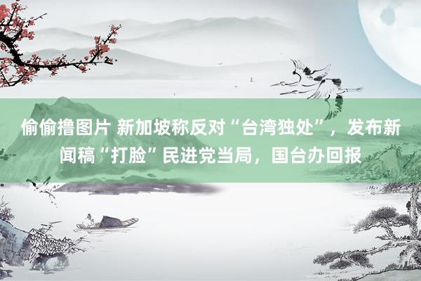 偷偷撸图片 新加坡称反对“台湾独处”，发布新闻稿“打脸”民进党当局，国台办回报