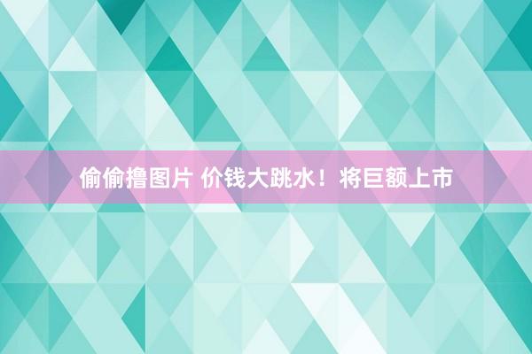 偷偷撸图片 价钱大跳水!将巨额上市