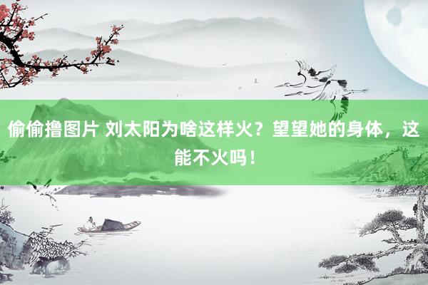 偷偷撸图片 刘太阳为啥这样火?望望她的身体,这能不火吗!