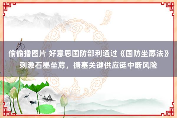 偷偷撸图片 好意思国防部利通过《国防坐蓐法》刺激石墨坐蓐,搪塞关键供应链中断风险