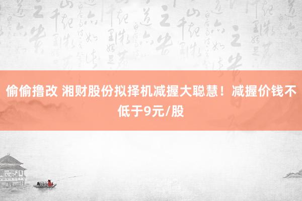 偷偷撸改 湘财股份拟择机减握大聪慧!减握价钱不低于9元/股