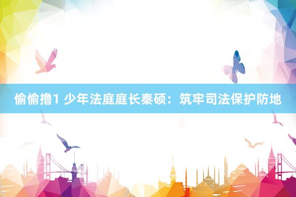 偷偷撸1 少年法庭庭长秦硕：筑牢司法保护防地