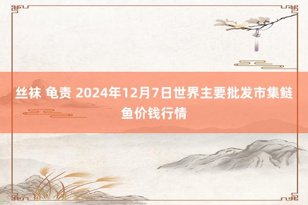 丝袜 龟责 2024年12月7日世界主要批发市集鲢鱼价钱行情