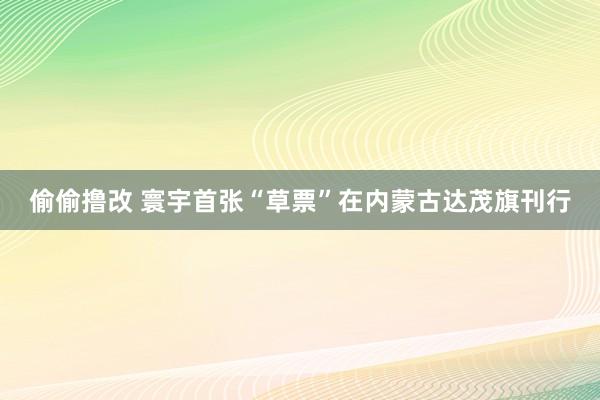 偷偷撸改 寰宇首张“草票”在内蒙古达茂旗刊行