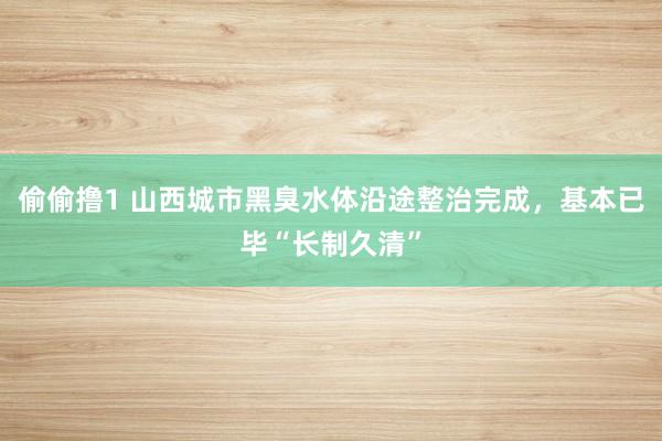 偷偷撸1 山西城市黑臭水体沿途整治完成，基本已毕“长制久清”