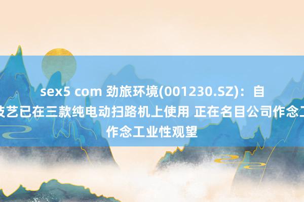 sex5 com 劲旅环境(001230.SZ)：自动化驾驶技艺已在三款纯电动扫路机上使用 正在名目公司作念工业性观望