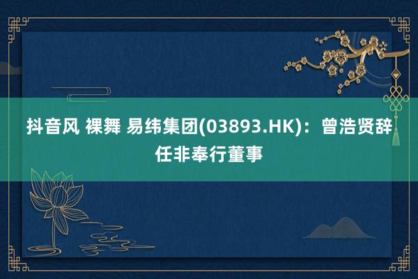 抖音风 裸舞 易纬集团(03893.HK):曾浩贤辞任非奉行董事