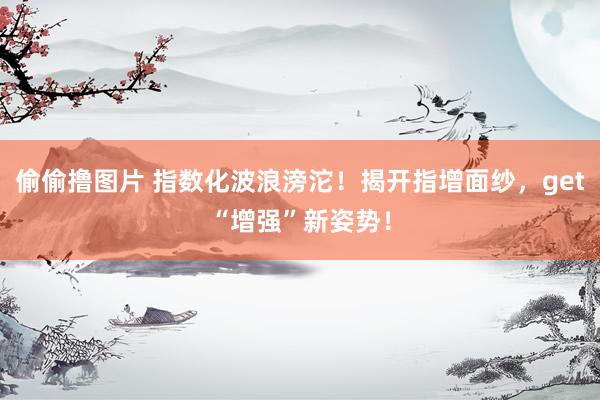 偷偷撸图片 指数化波浪滂沱！揭开指增面纱，get“增强”新姿势！