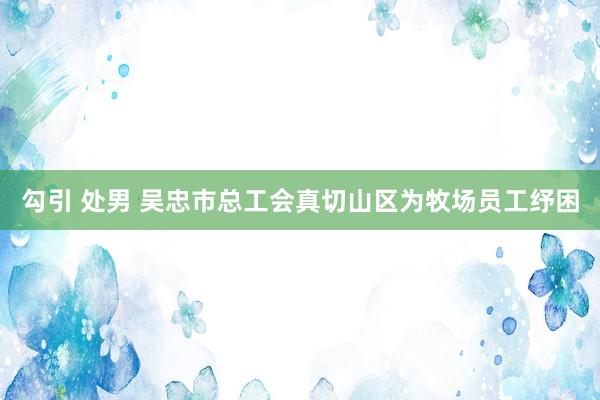 勾引 处男 吴忠市总工会真切山区为牧场员工纾困