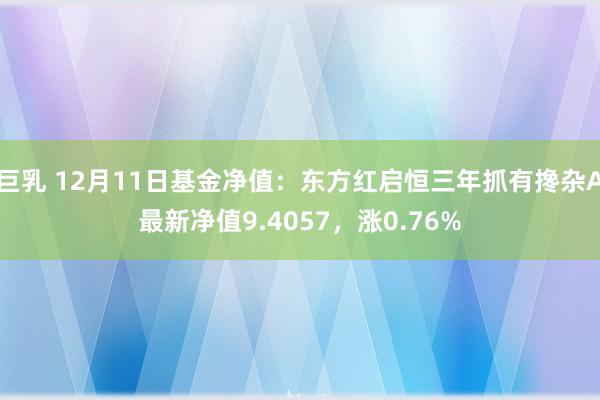 巨乳 12月11日基金净值:东方红启恒三年抓有搀杂A最新净值9.4057,涨0.76%