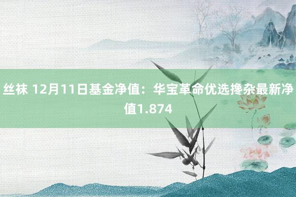 丝袜 12月11日基金净值:华宝革命优选搀杂最新净值1.874