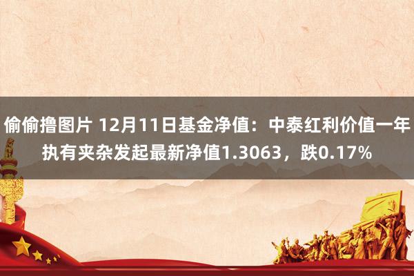偷偷撸图片 12月11日基金净值：中泰红利价值一年执有夹杂发起最新净值1.3063，跌0.17%