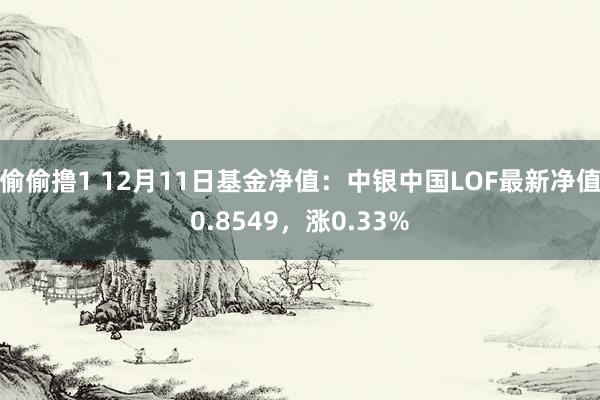 偷偷撸1 12月11日基金净值：中银中国LOF最新净值0.8549，涨0.33%