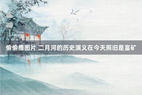 偷偷撸图片 二月河的历史演义在今天照旧是富矿