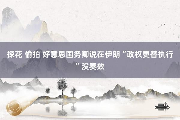 探花 偷拍 好意思国务卿说在伊朗“政权更替执行”没奏效