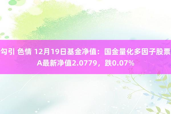 勾引 色情 12月19日基金净值：国金量化多因子股票A最新净值2.0779，跌0.07%