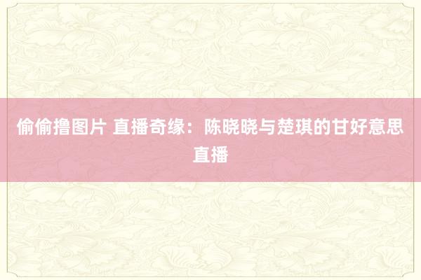 偷偷撸图片 直播奇缘：陈晓晓与楚琪的甘好意思直播
