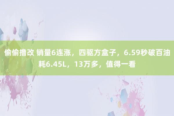偷偷撸改 销量6连涨，四驱方盒子，6.59秒破百油耗6.45L，13万多，值得一看