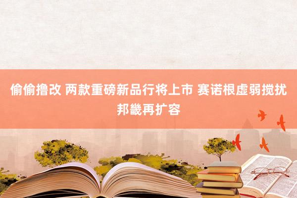 偷偷撸改 两款重磅新品行将上市 赛诺根虚弱搅扰邦畿再扩容
