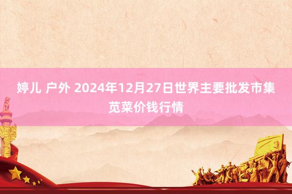 婷儿 户外 2024年12月27日世界主要批发市集苋菜价钱行情