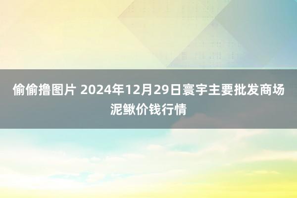 偷偷撸图片 2024年12月29日寰宇主要批发商场泥鳅价钱行情