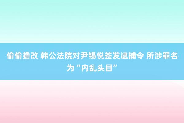 偷偷撸改 韩公法院对尹锡悦签发逮捕令 所涉罪名为“内乱头目”