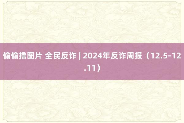 偷偷撸图片 全民反诈 | 2024年反诈周报（12.5-12.11）
