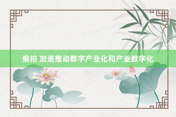 偷拍 加速推动数字产业化和产业数字化