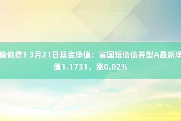 偷偷撸1 3月21日基金净值：富国短债债券型A最新净值1.1731，涨0.02%