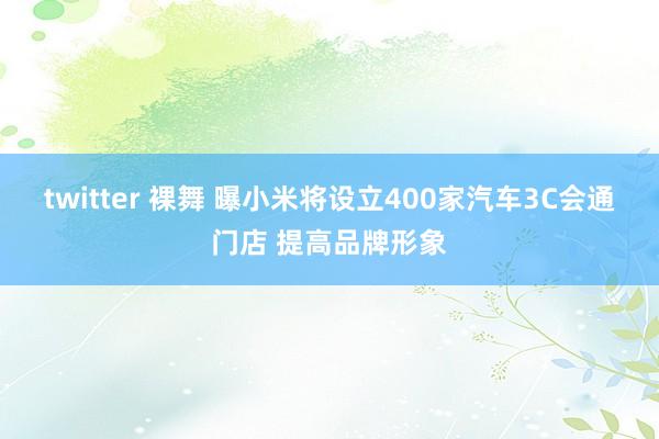 twitter 裸舞 曝小米将设立400家汽车3C会通门店 提高品牌形象