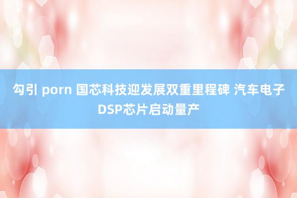 勾引 porn 国芯科技迎发展双重里程碑 汽车电子DSP芯片启动量产