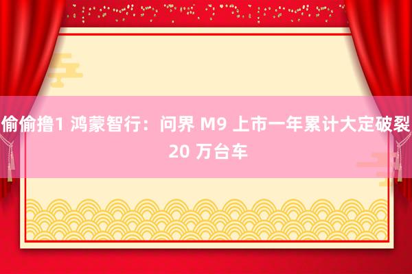 偷偷撸1 鸿蒙智行：问界 M9 上市一年累计大定破裂 20 万台车
