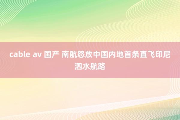 cable av 国产 南航怒放中国内地首条直飞印尼泗水航路
